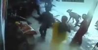 بالفيديو.. بقرة تهاجم رجلا حاول قتل ابنته انتقامًا لشرفه