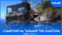 حريق غابة "كابونيكرو".. هكذا أصبحت "كدية الطيفور" بعد ليلة سوداء