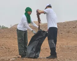 نداء من قلب الصحراء المغربية: دعوة عالمية لحماية الصحارى والثروات الطبيعية