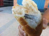 صورة حقيقية