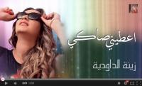 بالفيديو .. عطيني صاكي تجرالفنانة زينة  الداودية  للقضاء