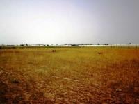 الصورة من الأرشيف