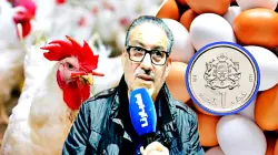 البيض مخصوش يفوت درهم.. مهني يفضح تلاعبات ساهمت في ارتفاع الأسعار ويطالب الحكومة بالتدخل العاجل (فيديو)