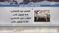 وزارة الفلاحة : العرض من الاضاحي يفوق الطلب