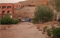الصورة من الأرشيف