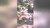 ظاهرة غريبة وقعت في عين الحمراء