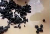 خطير بالفيديو .. شاي ممزوج بفضلات الفئران يباع للمواطنين في أسواق وجدة 