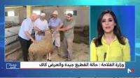 أضاحي العيد تفوق الطلب وإجراءات صارمة لضمان السلامة
