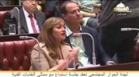 آراء فنانين في دستور مصر الجديد