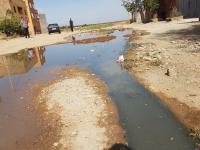 خطير ... نشطاء يتداولون فيديو صادم لأطفال مصابون بأمراض فتاكة بسبب مياه الصرف الصحي والمسؤولين خارج التغطية -فيديو-