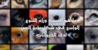 لماذا تختلف أشكال عيون الكائنات الحية ؟