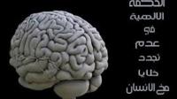 الحكمة الالهية في عدم تجدد خلايا مخ الانسان