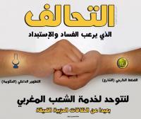 صورة مأخوذة من صفحة لأنصار حزب المصباح