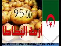 مرة أخرى في الجزائر..التهاب أسعار البطاطس يعود الى الواجهة