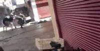 بالفيديو.. عجل يتغلب على 10 أشخاص ويفر منهم قبل ذبحه