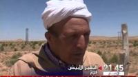 افتتاح أول مركز لإنتاج البذور الرعوية بالمغرب