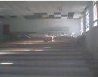 كلب بمدرجات كلية فاس‎