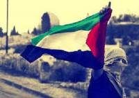 معلومات لن تُصدقها عن فلسطين...؟!