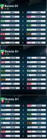 برنامج الدورة 29 وما قبل الأخيرة
