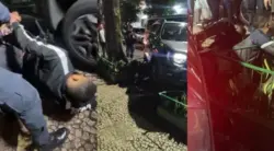 بالفيذيو..محاولة سرقة تنقلب على لصوص في البرازيل