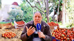 أبرزها التصدير.. مهني يكشف لـ"أخبارنا" معطيات مثيرة وراء غلاء الطماطم ويطالب الحكومة بالتسقيف (فيديو)