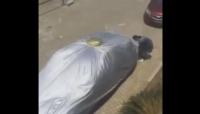 شوفو على "باتش" داير للطوموبيل . ناس فين واصلة