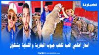 الكسابة يشتكون