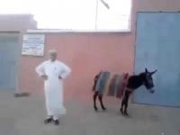 هكذا هو اسعاف سكان منطقة أسايس