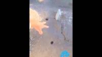 كويتي يصور قبر صديقه بعد ان ملئ بالافاعي ويحكي قصة موته !!