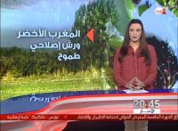 مخطط المغرب الأخضر، ورش كبير لتحقيق تنمية سريعة للفلاحة المغربية