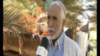 عملية تلفيف وتخزين الثمور