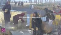 بالفيديو .. من قلب تسونامي مسجد الحسن الثاني