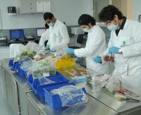 الحكومة تخوصص المراقبة الصحية للمنتجات الغذائية