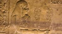 مترجم غوغل الجديد يفك شفرات اللغة الهيروغليفية