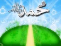 حياء النبي صلى الله عليه وسلم