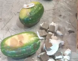 دلاح من نوع آخر.. توقيف شاحنة محملة بـ 350 كيلوغراماً من الشيرا بميناء طنجة المتوسط