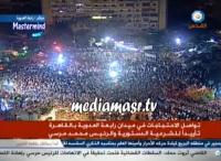 كواليس مادار بين سفيرة أمريكا ومرسي لحظات قبل عزله