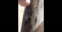 بالفيديو.. "طنجاوي" يرعب الأهالي بـ«الساطور»