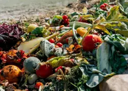 أرقام مرعبة للهدر الغذائي بالمغرب: "113 كيلوغراما لكل مغربي"