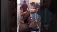 خطير.. حقوقيون ينظفون مشرد ضحية حادثة ومستشفى بني ملال يرفض علاجه