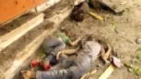 مقطع فيديو يصور قتلي ملقون في شوارع حي الشجاعية بقطاع غزة