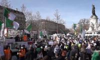 الجزائريون يحيون الذكرى الثانية للحراك من قلب العاصمة باريس