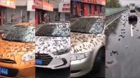 السماء تمطر ديدان في الصين ظاهرة غريبة تثير الرعب والخوف(فيديو)