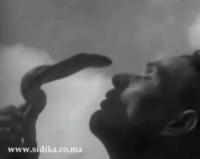 فيديو نادر: موسم مولاي ادريس بالمغرب سنة 1936