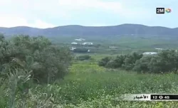موسم فلاحي جيد متوقع بجهة طنجة تطوان