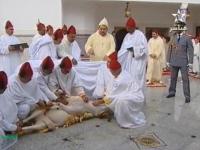 صاحب الجلالة ينحر أضحية العيد