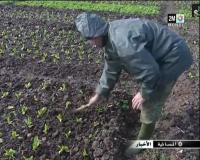 الفلاحون يستبشرون خيرا بالأمطار