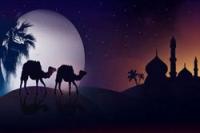 الهجرة .. ومنهج البحث عن حل