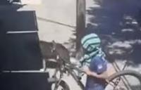 ردة فعل شاب ضبط صبي يسرق دراجته (فيديو)