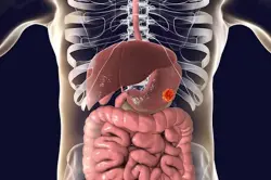 ميكروبات الأمعاء... سرّ خفي وراء المزاج والرغبة في الاستكشاف